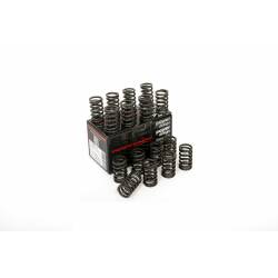Piper Cams Astra H VXR Uprated Valve Springs
